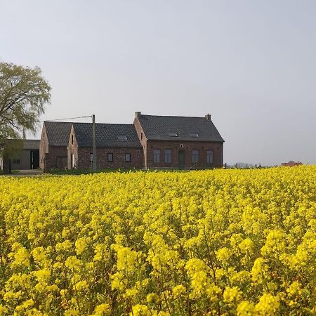 Spacious Holiday Home With Pond In Poperinge Roesbrugge-Haringe Dış mekan fotoğraf