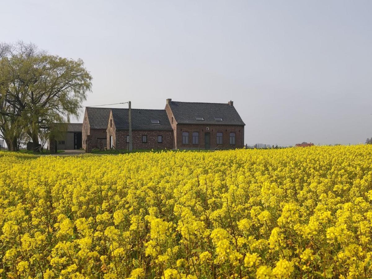 Spacious Holiday Home With Pond In Poperinge Roesbrugge-Haringe Dış mekan fotoğraf